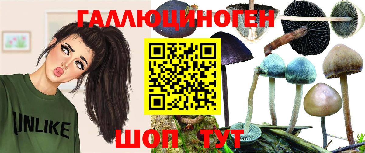 Галлюциногенные грибы Psilocybe  что такое наркотик  Камышин  Вход с VPN 