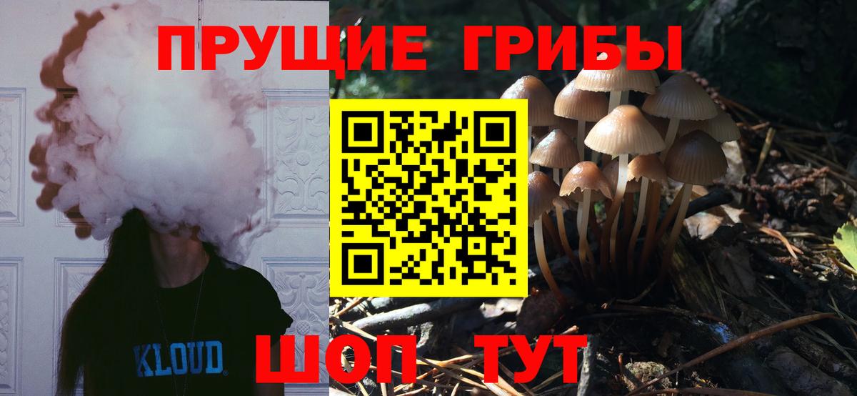 Псилоцибиновые грибы мицелий Камышин